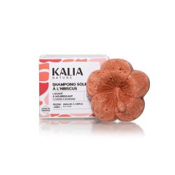 shampoing-solide-hibiscus.jpeg